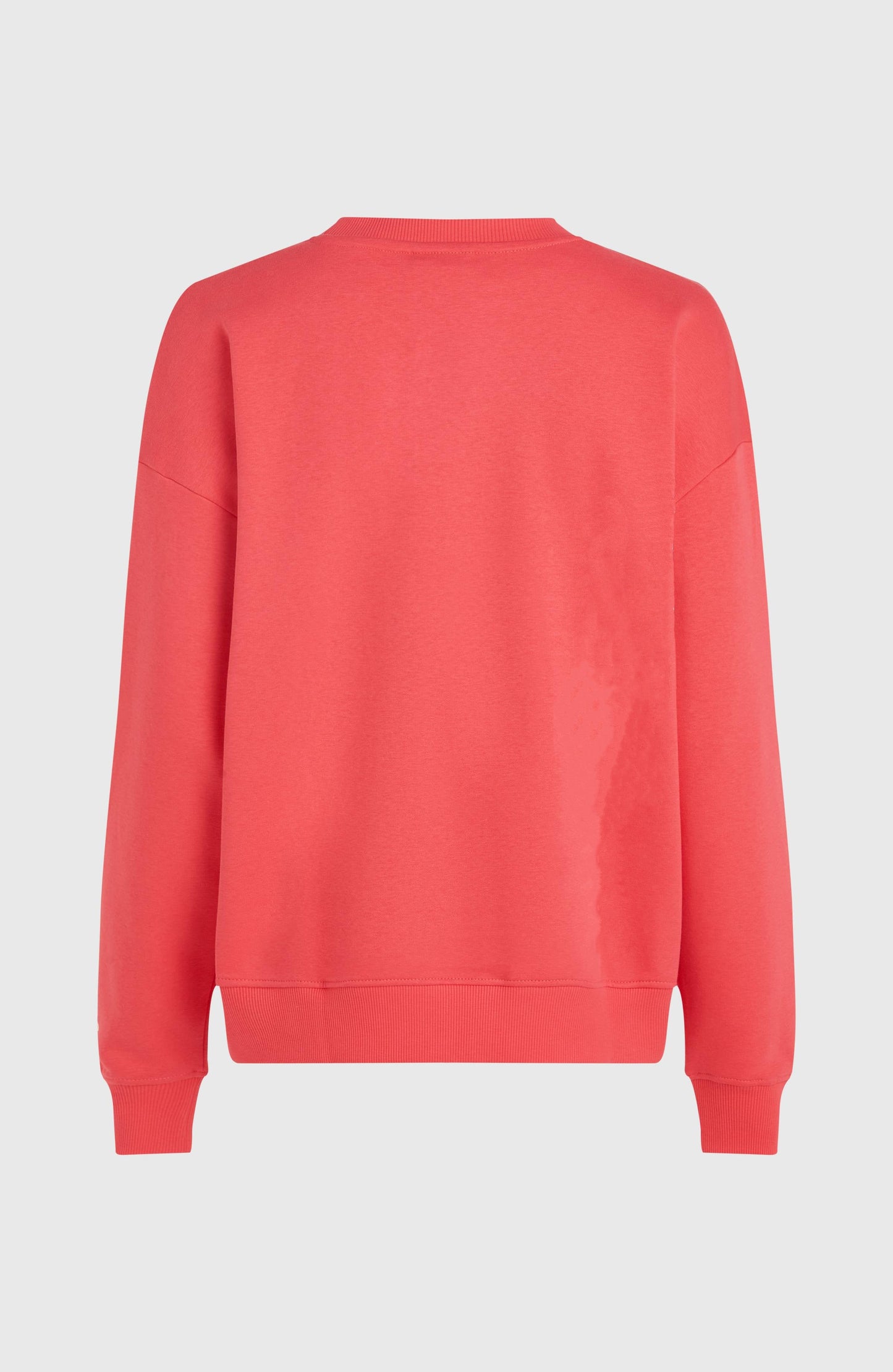 Future Surf Crew Sweatshirt Women Froly