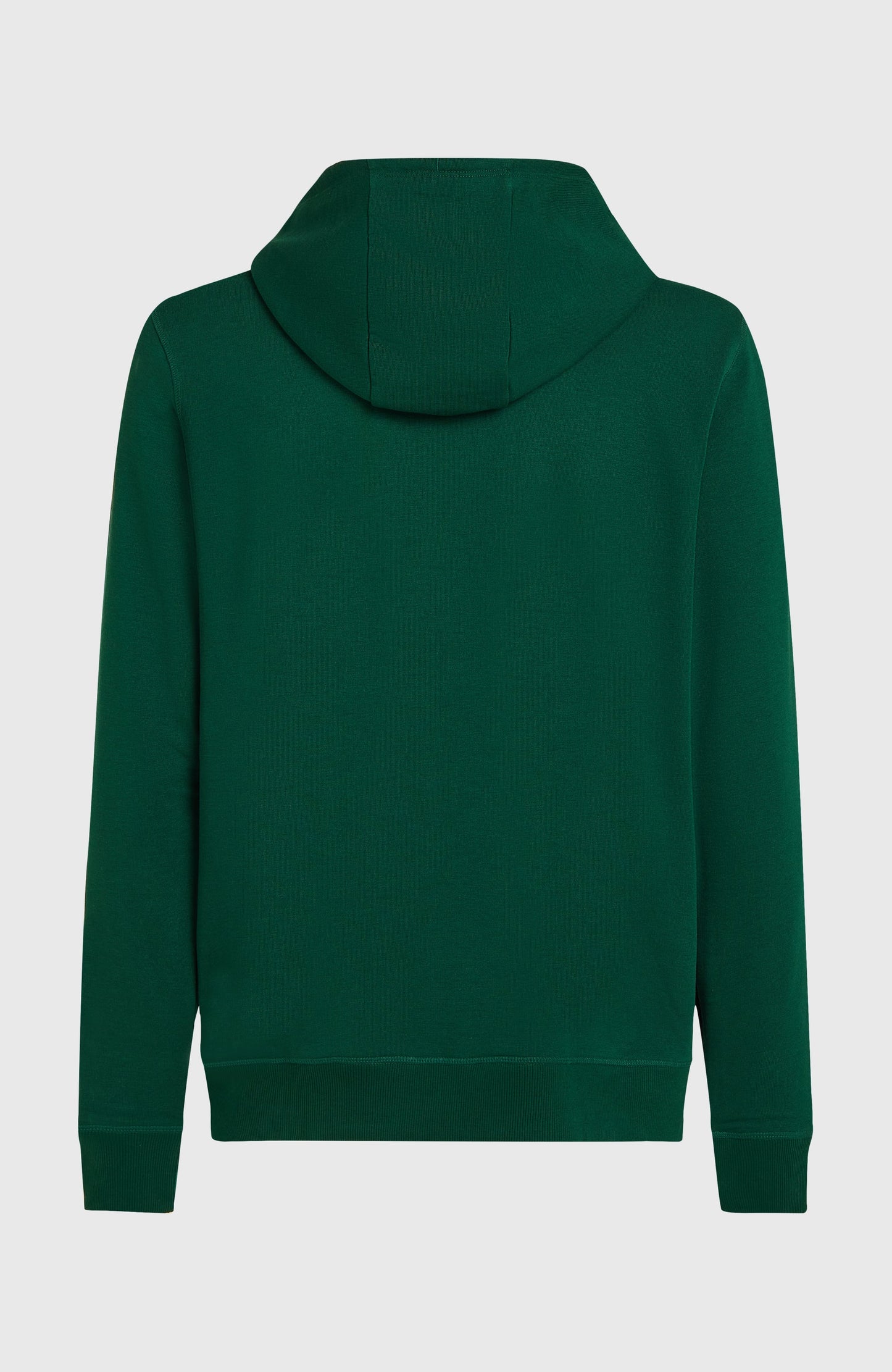 Small Logo Full-Zip Hoodie Men Emerald Envy