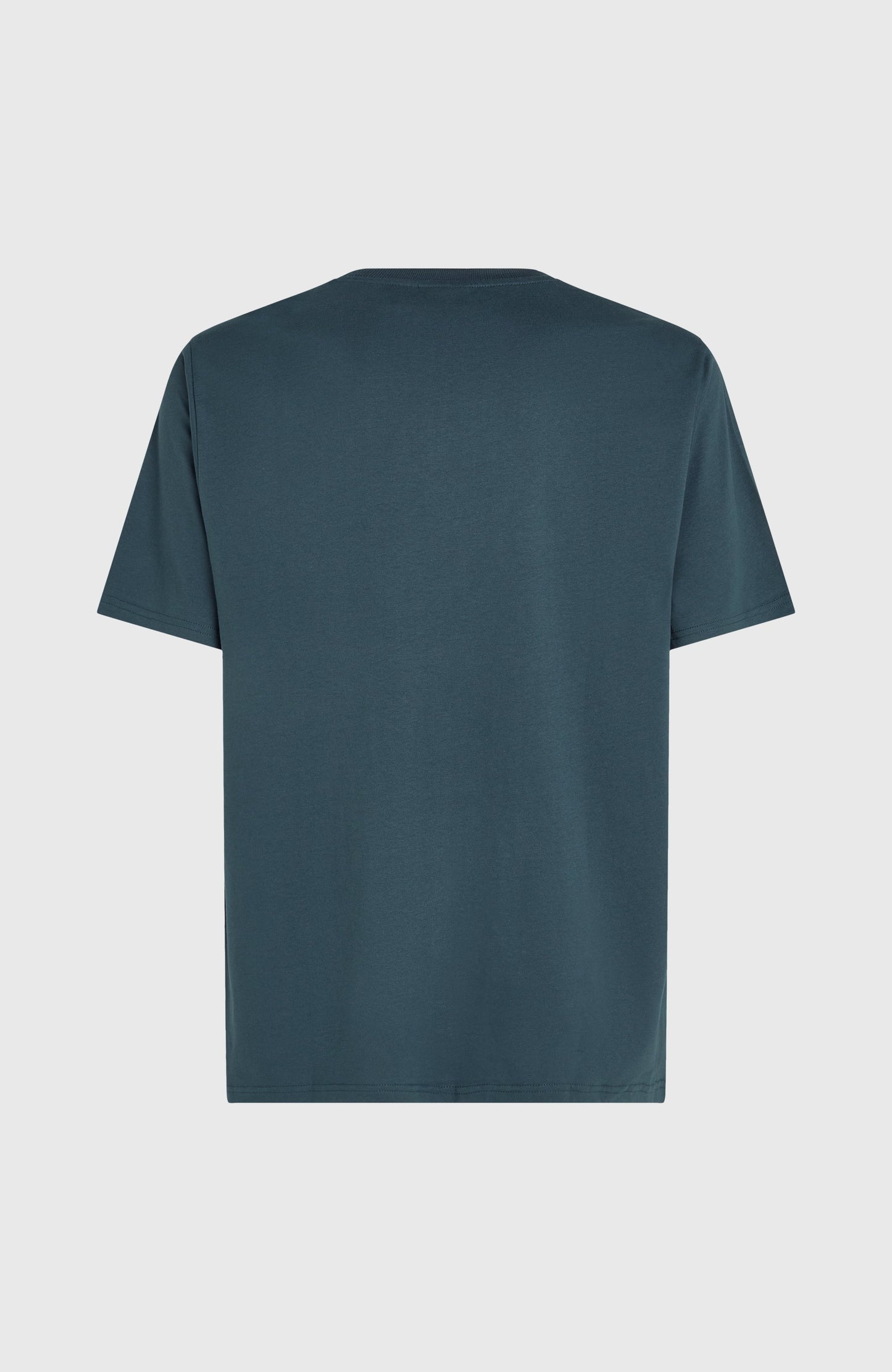 Future Surf Society T-Shirt Men Alma Steel