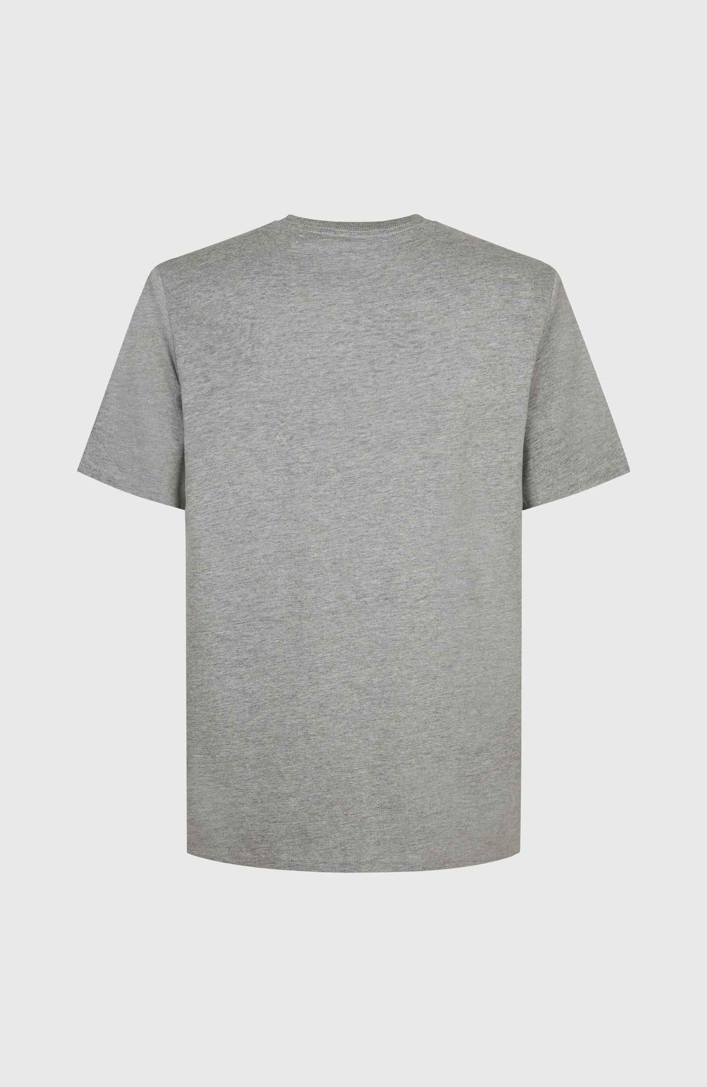 Future Surf Society T-Shirt Men Silver Melee
