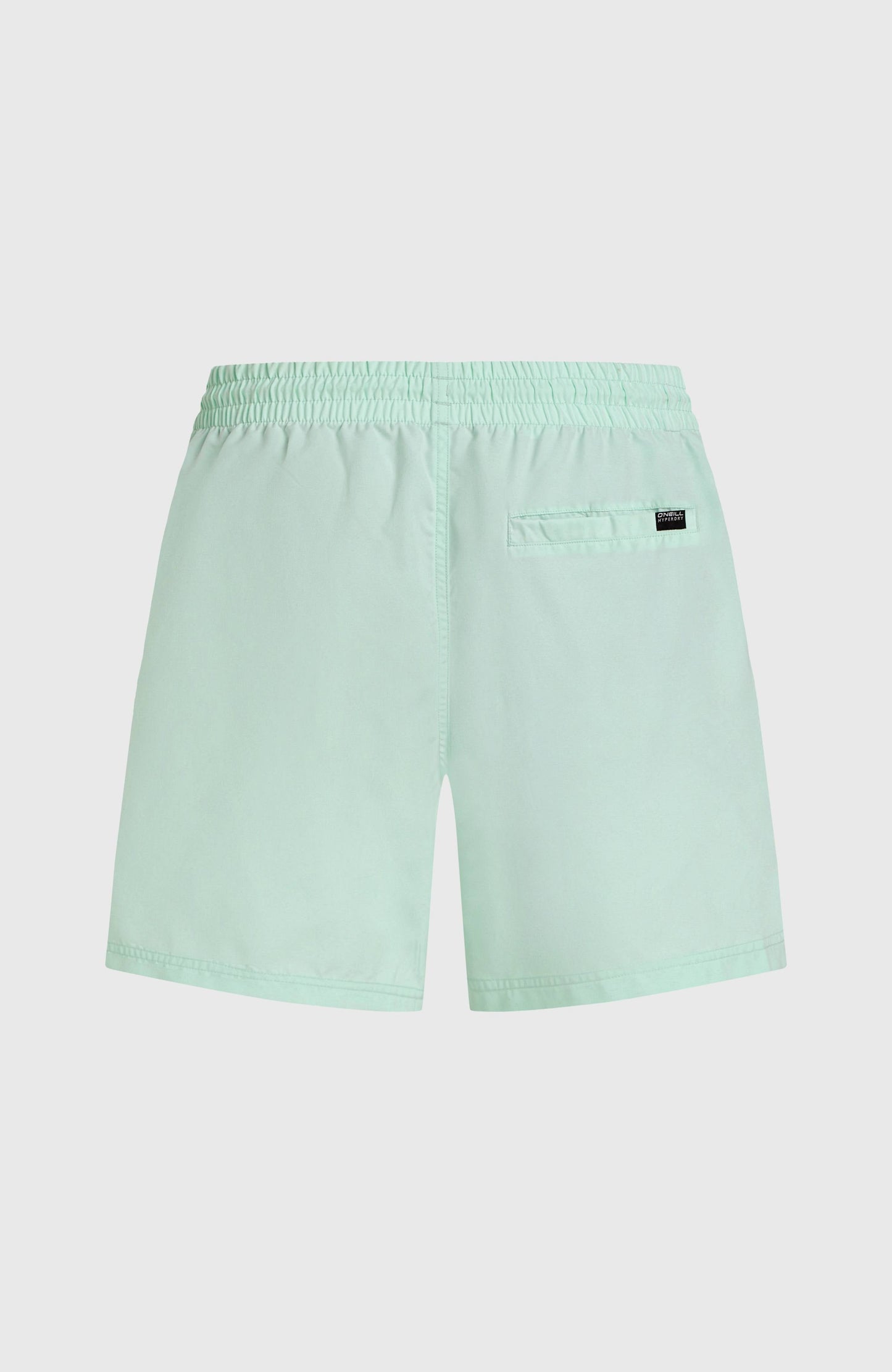Cali 16'' Swim Shorts Men Mildrew Mint