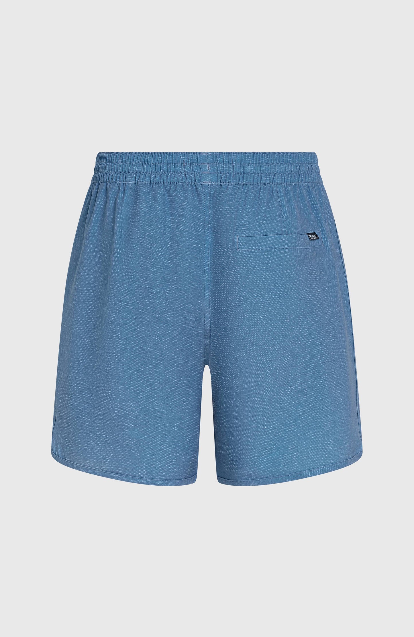O'Riginals Scallop 16'' Swim Shorts Men Blue Originals Longboard Stripe