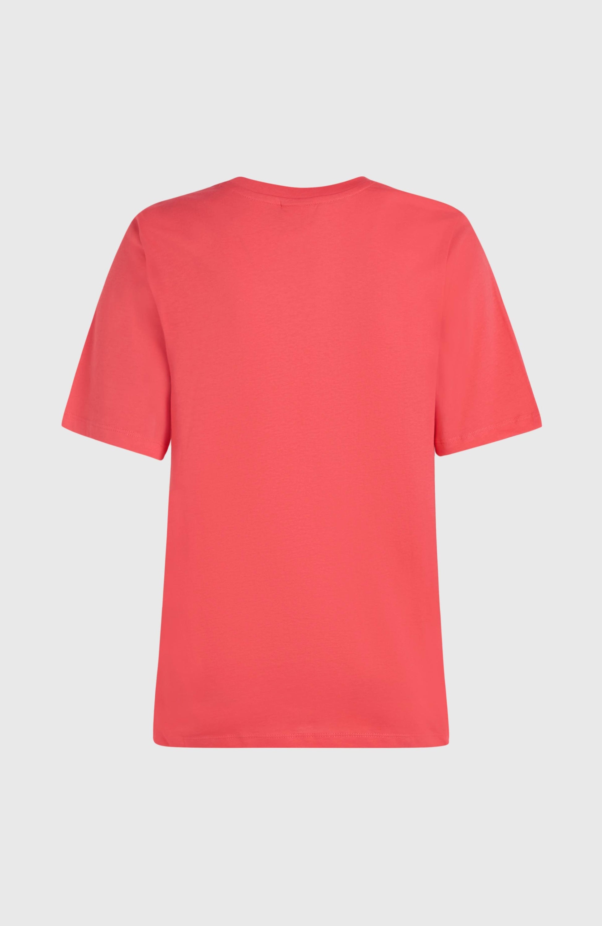 Future Surf Society T-Shirt Women Froly