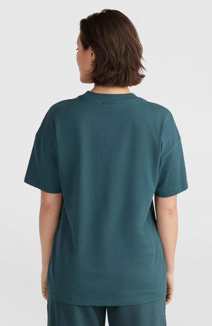 Future Surf Society T-Shirt Women Alma Steel