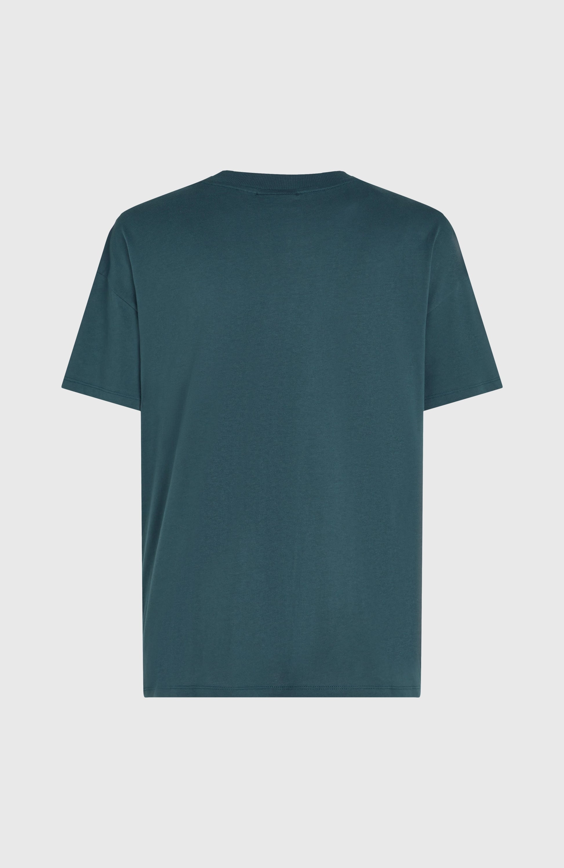 Future Surf Society T-Shirt Women Alma Steel