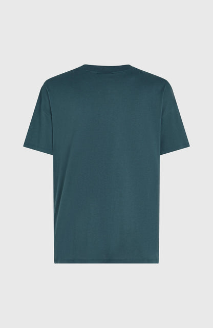 Future Surf Society T-Shirt Women Alma Steel