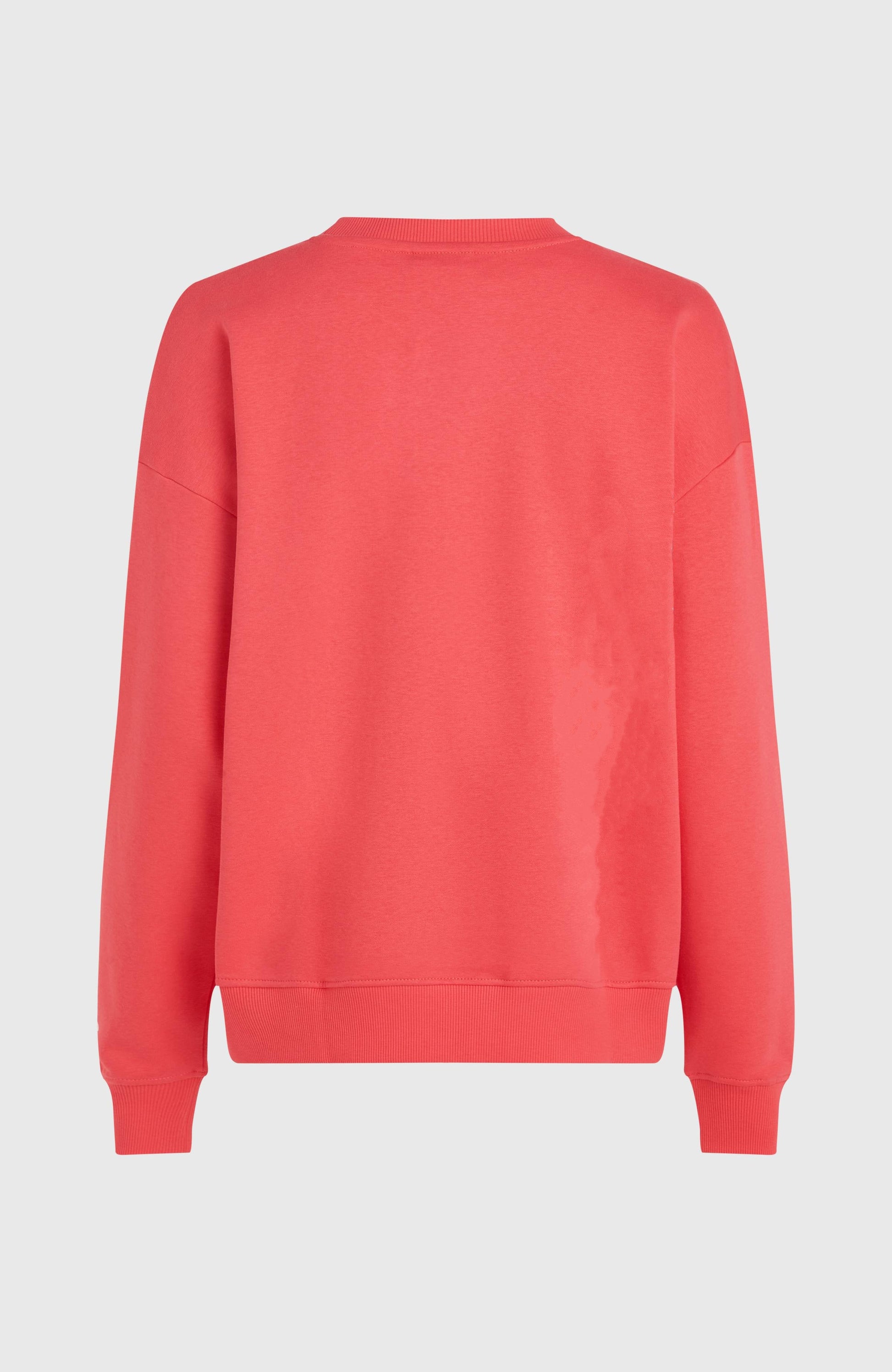 Future Surf Crew Sweatshirt Women Froly