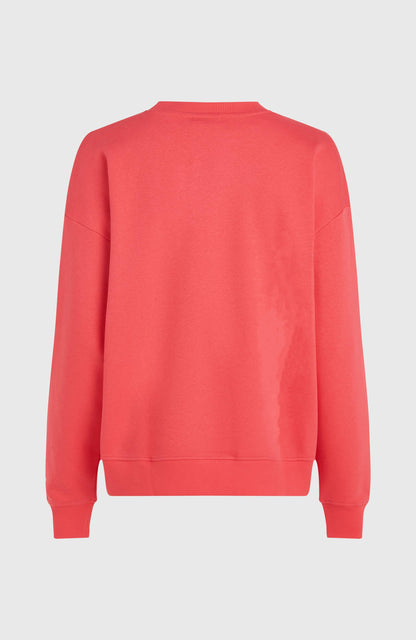 Future Surf Crew Sweatshirt Women Froly