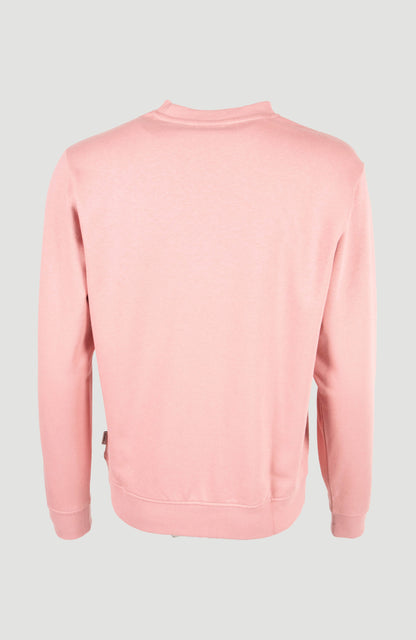 Women of the Wave Crew Sweatshirt Women Genuine Pink