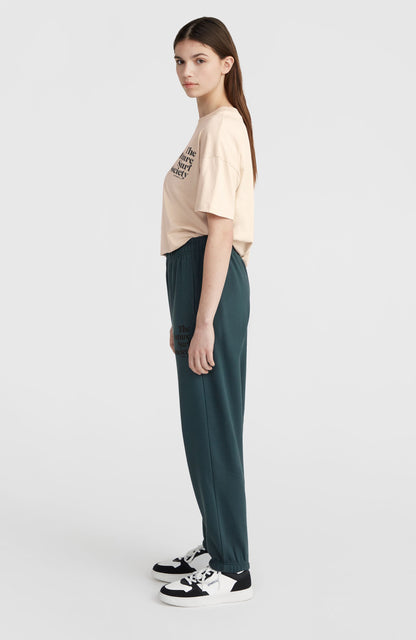 Future Surf Society Sweatpants Women Alma Steel