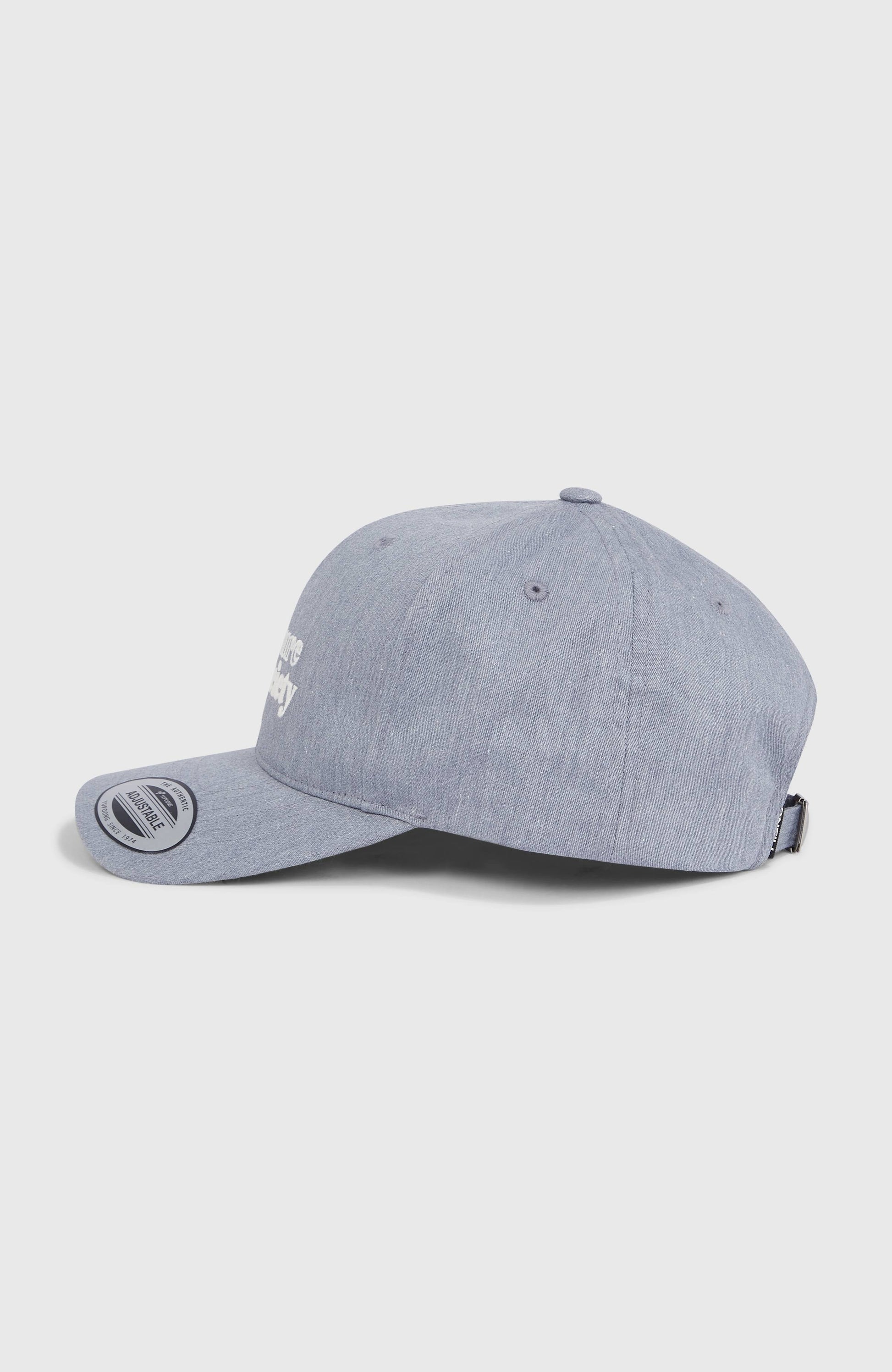 Future Surf Society Cap Women|Men Silver Melee