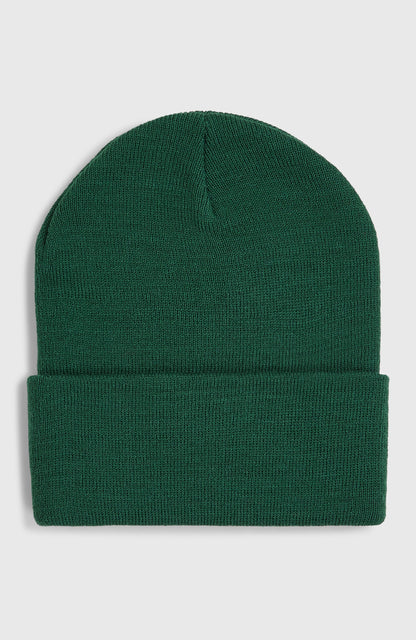 Snow Beanie Women|Men Emerald Envy