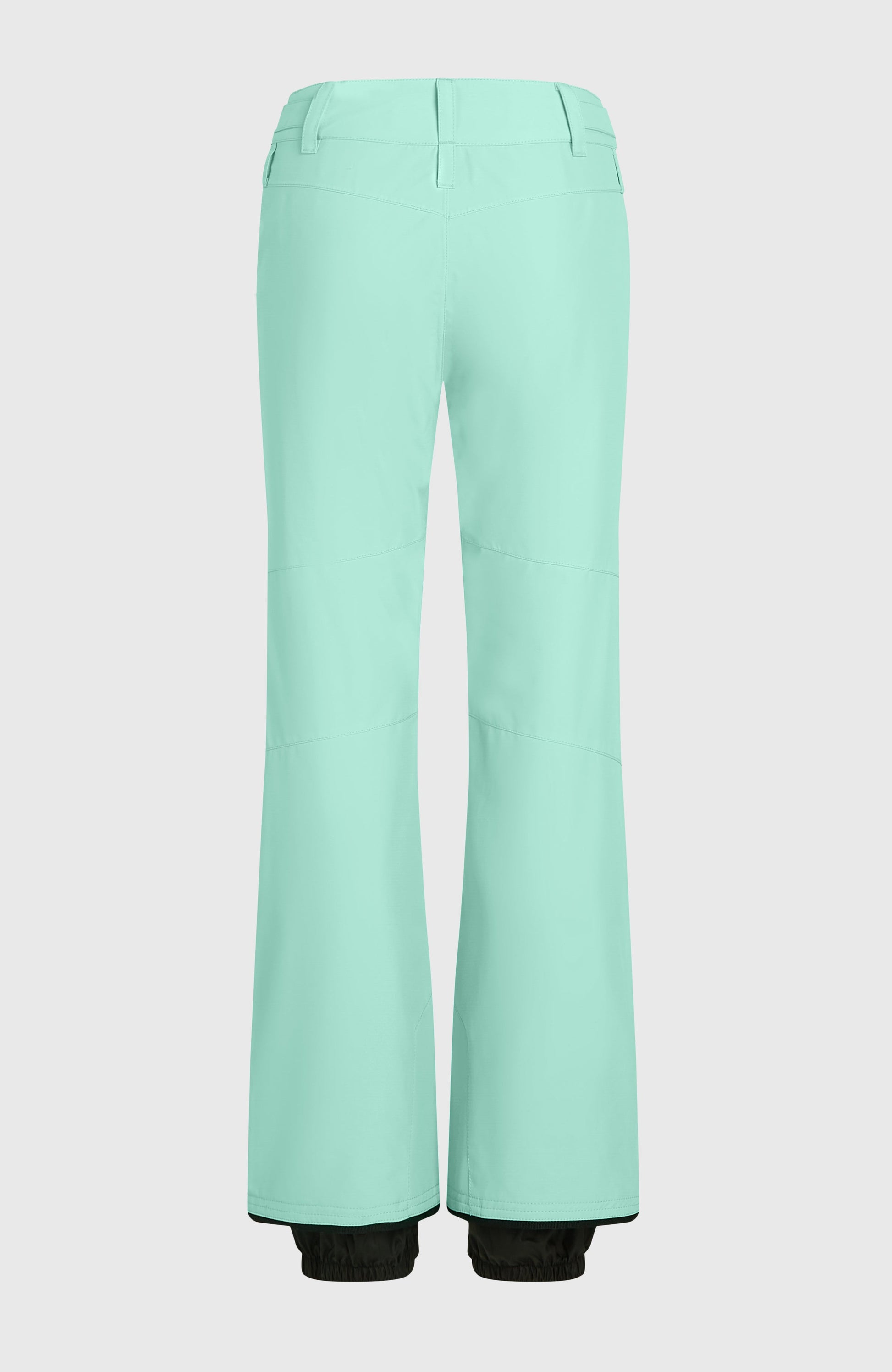 FWC'Cruz Slim Snow Pants Women Retro Mint