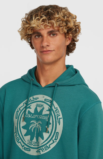 O'Neill Must-Have Graphic Hoodie Men Botanical Heat