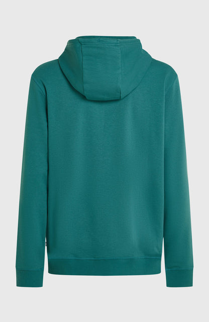 O'Neill Must-Have Graphic Hoodie Men Botanical Heat