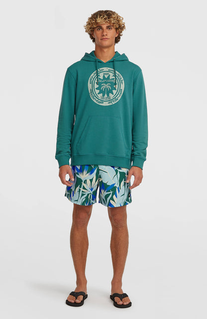 O'Neill Must-Have Graphic Hoodie Men Botanical Heat