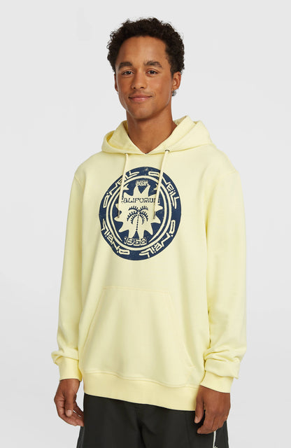 O'Neill Must-Have Graphic Hoodie Men Rainforest Dew