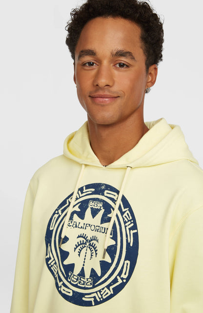 O'Neill Must-Have Graphic Hoodie Men Rainforest Dew