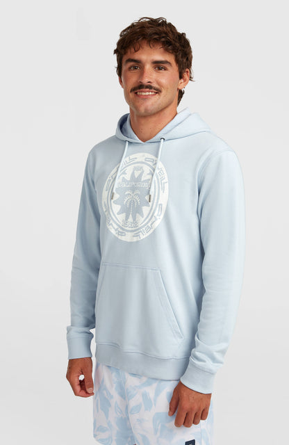 O'Neill Must-Have Graphic Hoodie Men Spindle