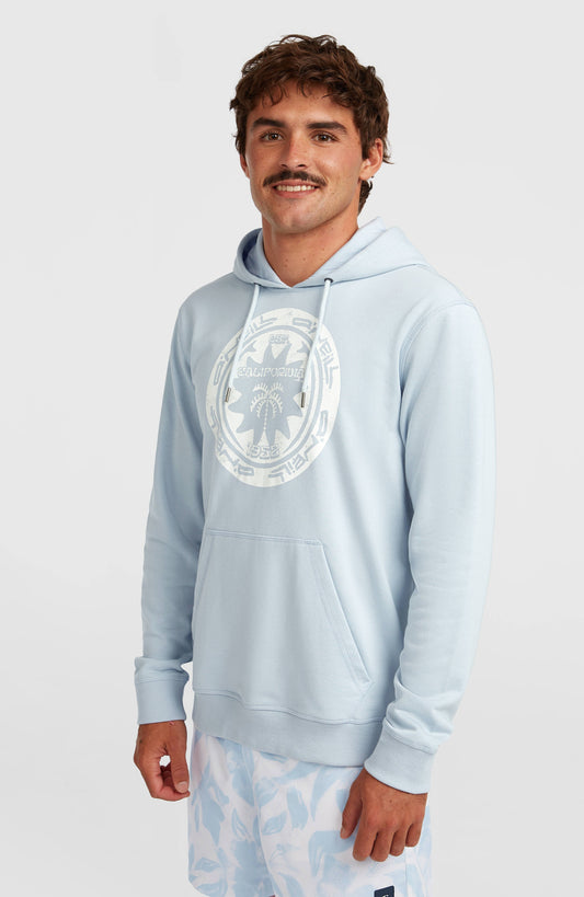 O'Neill Must-Have Graphic Hoodie Men Spindle