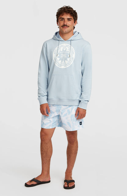 O'Neill Must-Have Graphic Hoodie Men Spindle