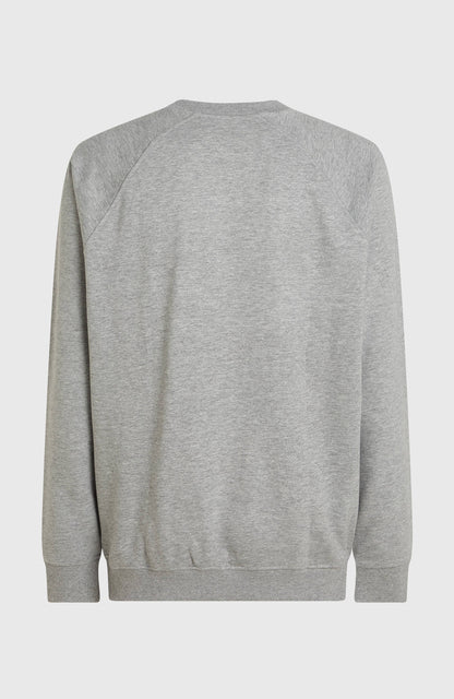 Essentials 90s Logo Crew Sweatshirt Men Silver Melee