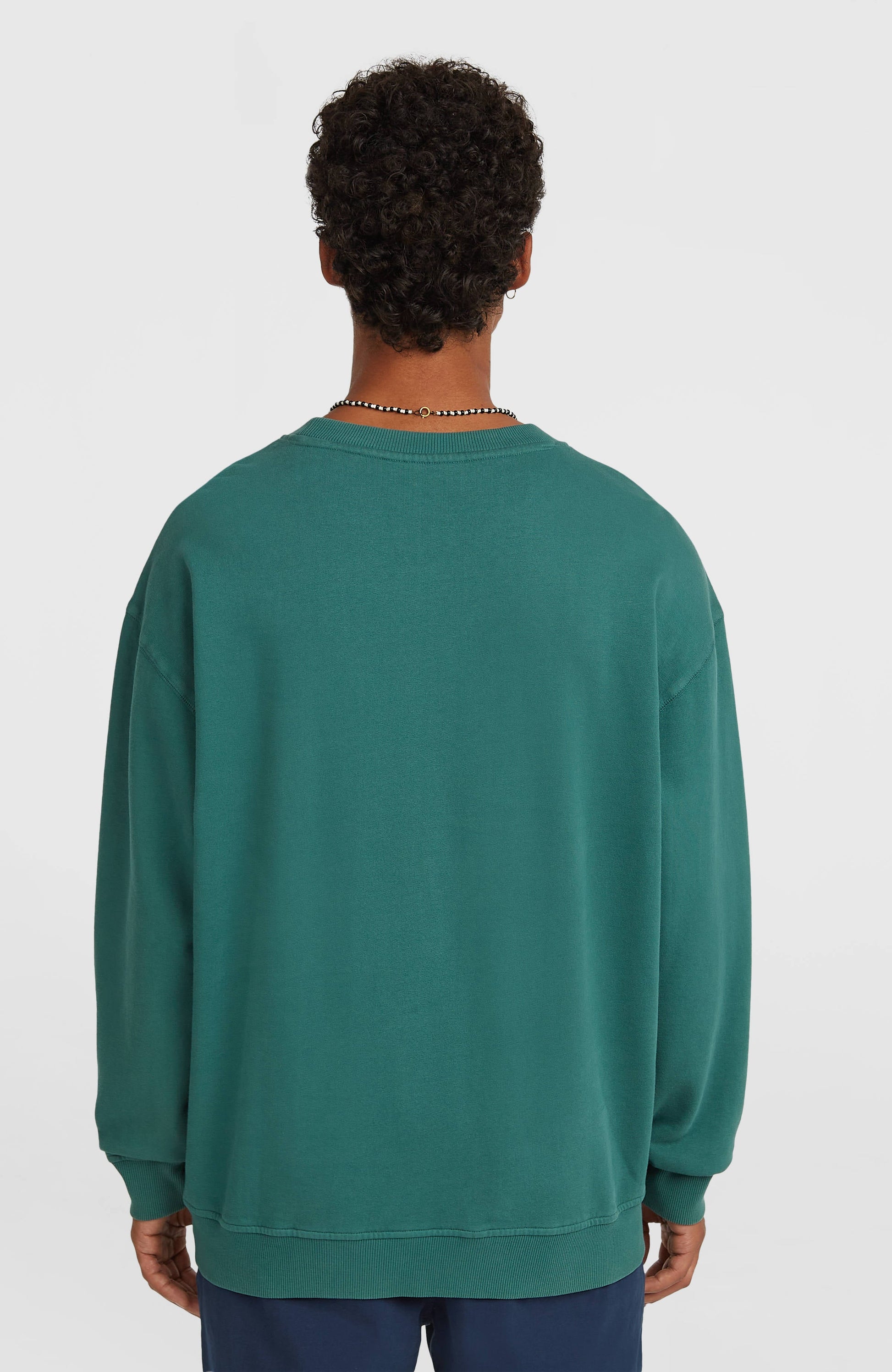 O'Riginals Crew Sweatshirt Men Botanical Heat