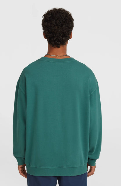 O'Riginals Crew Sweatshirt Men Botanical Heat