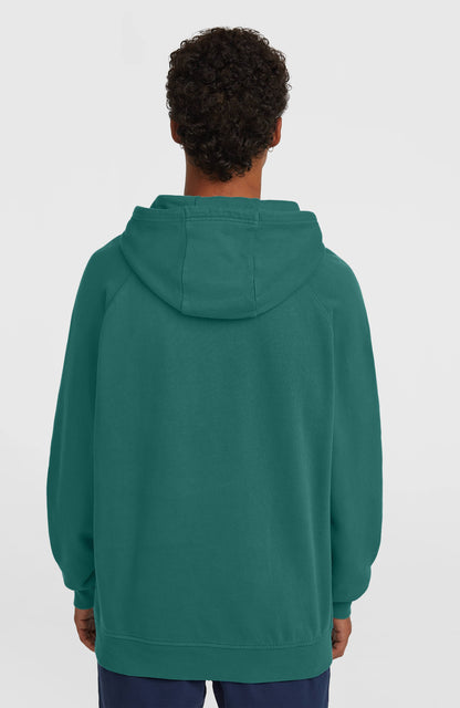 O'Riginals Badge Hoodie Men Botanical Heat