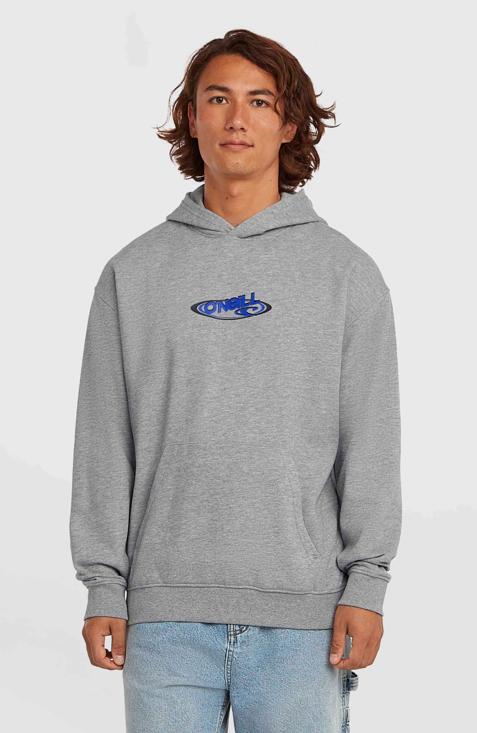 Essentials 90s Logo Hoodie Men Silver Melee