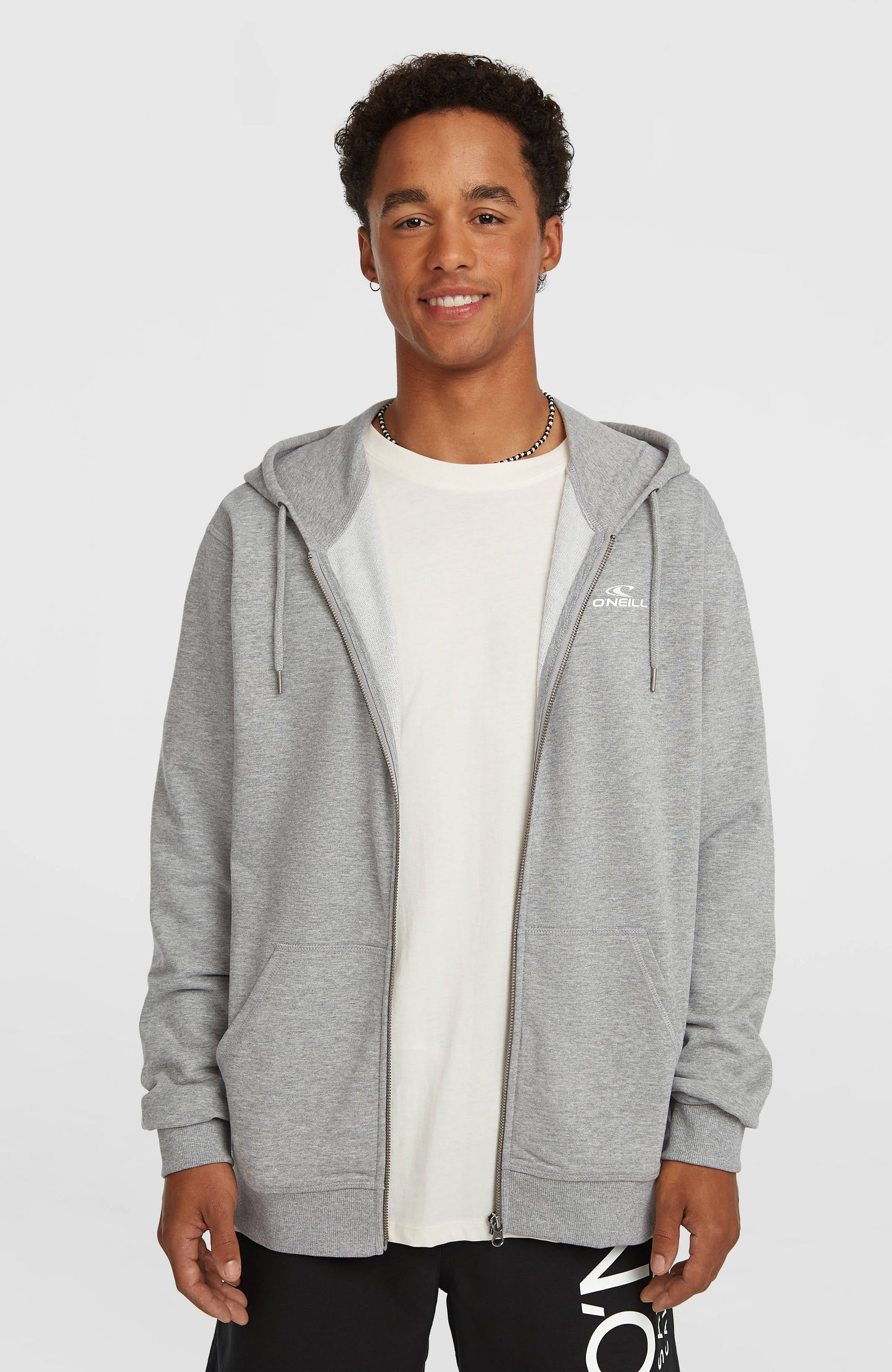 Small Logo Full-Zip Hoodie Men Silver Melee
