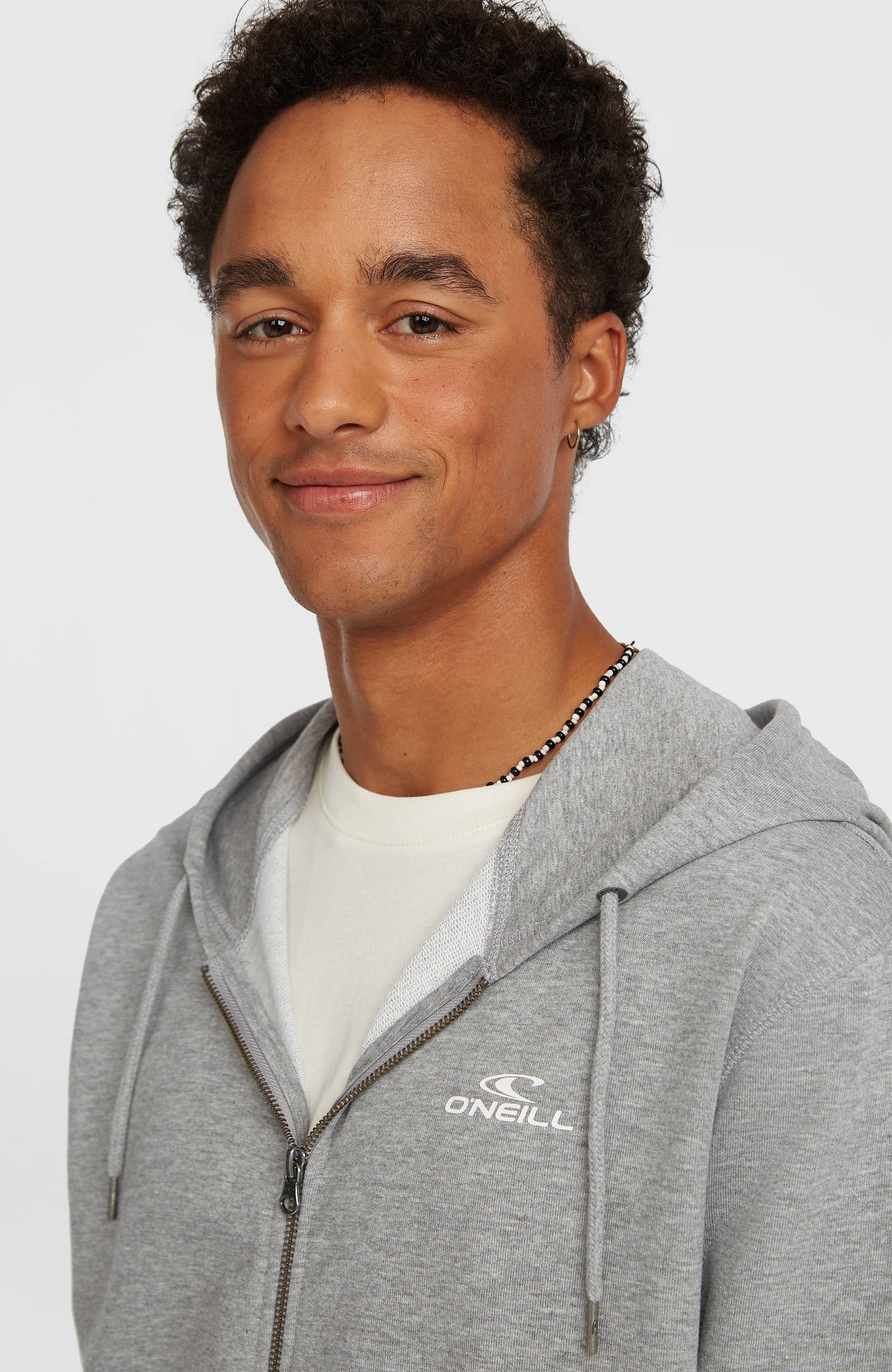 Small Logo Full-Zip Hoodie Men Silver Melee