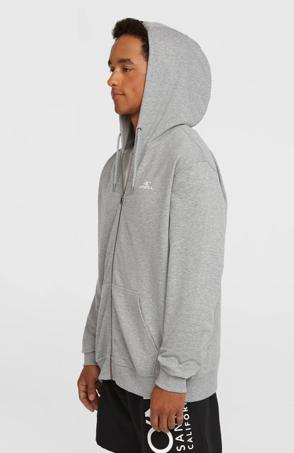 Small Logo Full-Zip Hoodie Men Silver Melee