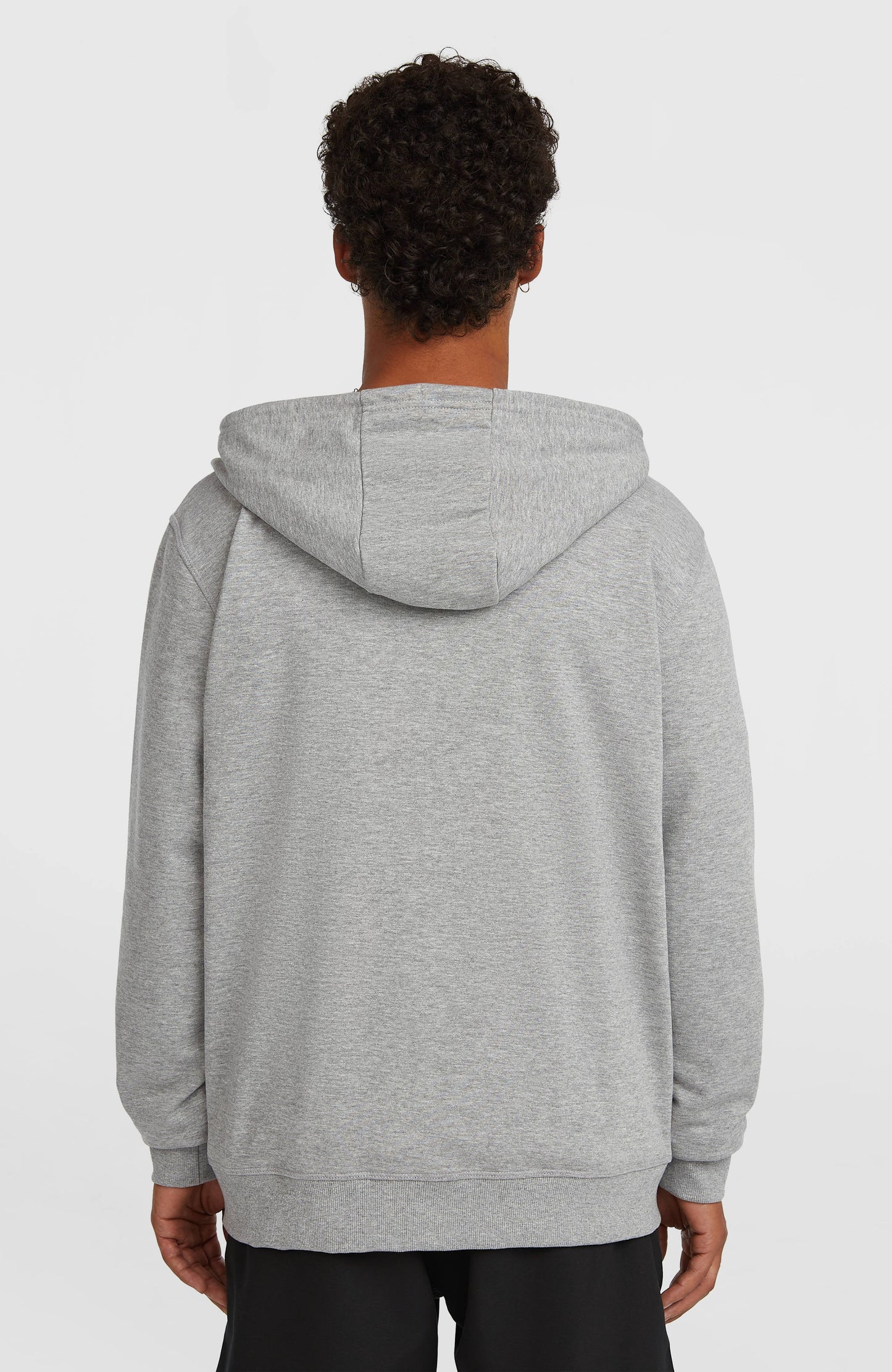 Small Logo Full-Zip Hoodie Men Silver Melee