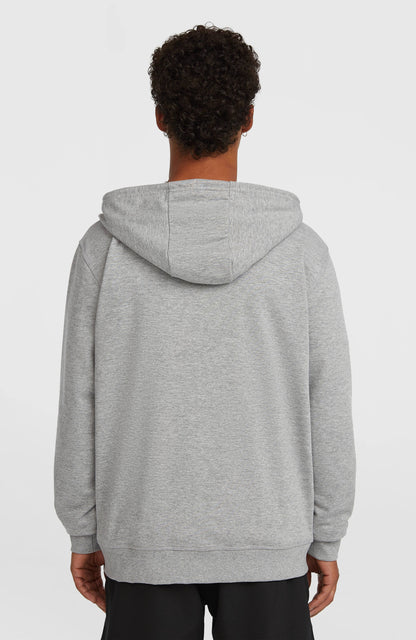 Small Logo Full-Zip Hoodie Men Silver Melee