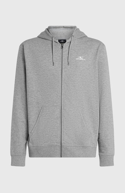 Small Logo Full-Zip Hoodie Men Silver Melee
