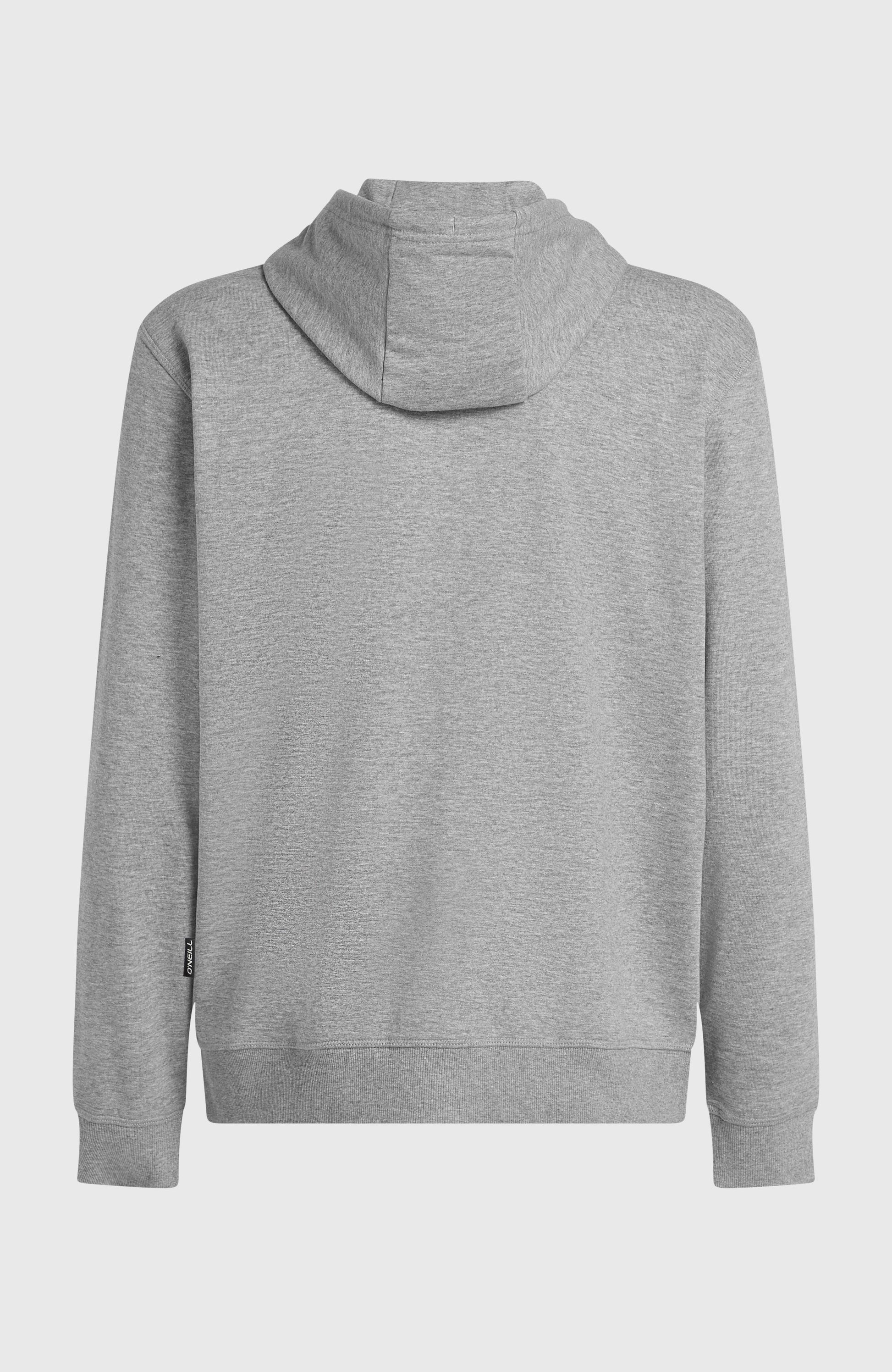 Small Logo Full-Zip Hoodie Men Silver Melee