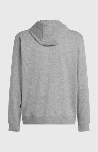 Small Logo Full-Zip Hoodie Men Silver Melee