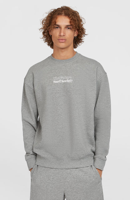 Future Surf Society Crew Men Silver Melee