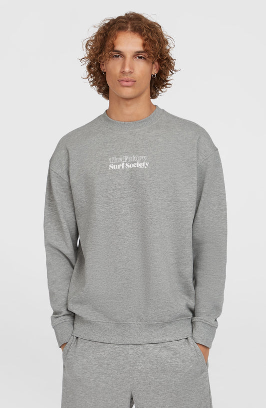 Future Surf Society Crew Men Silver Melee