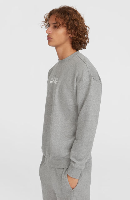 Future Surf Society Crew Men Silver Melee