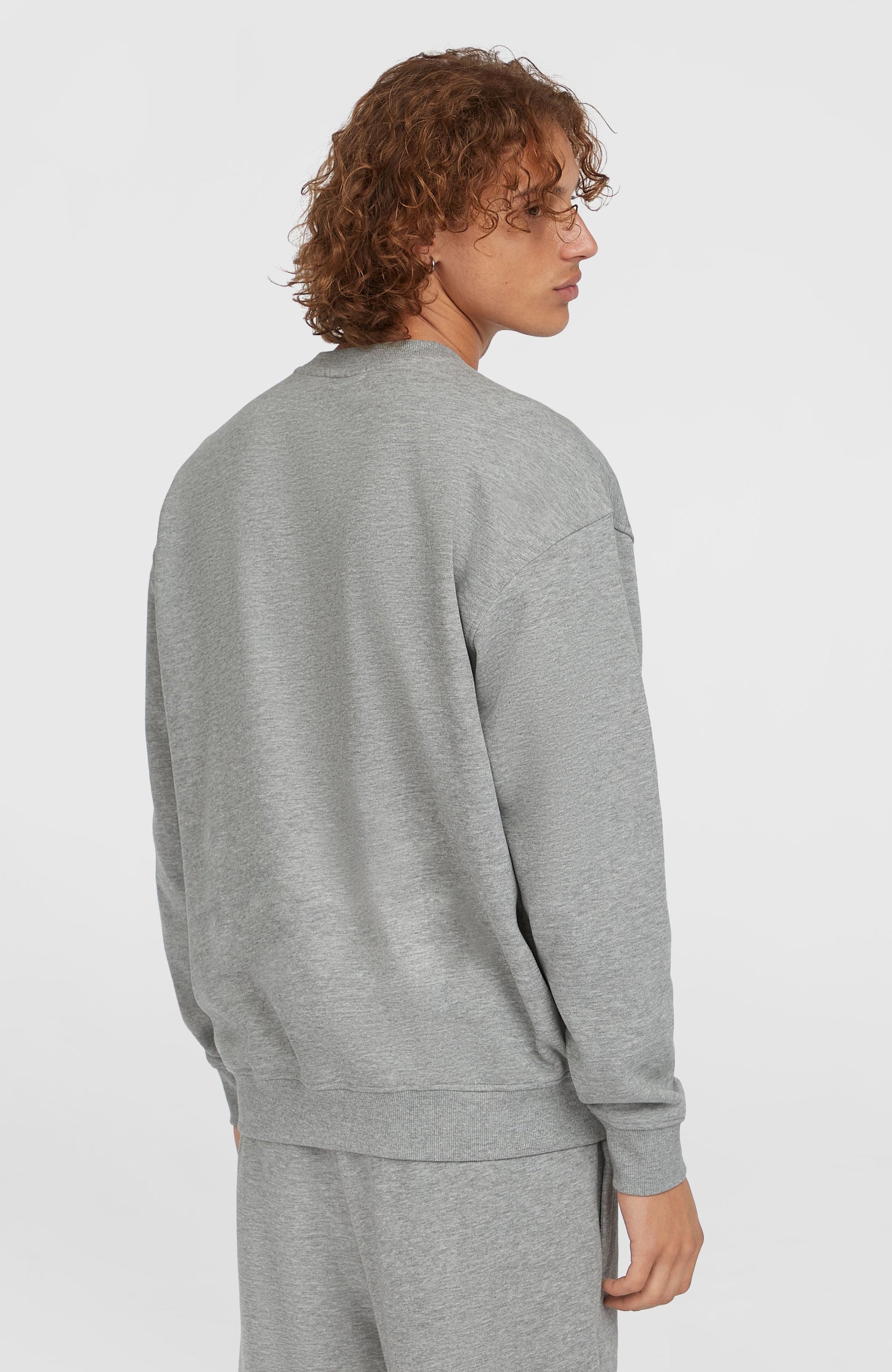 Future Surf Society Crew Men Silver Melee