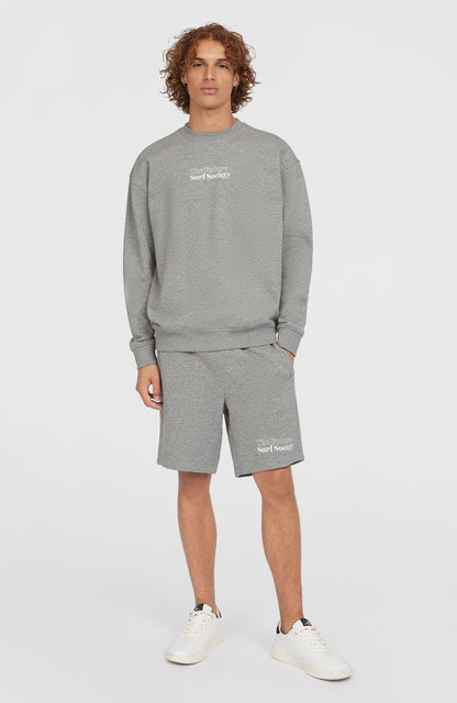 Future Surf Society Crew Men Silver Melee
