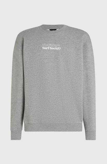Future Surf Society Crew Men Silver Melee