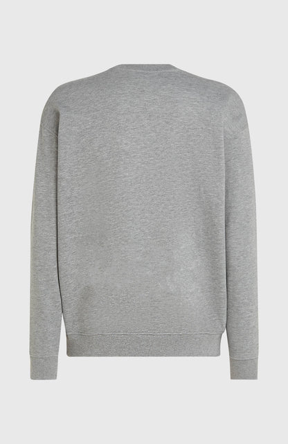 Future Surf Society Crew Men Silver Melee