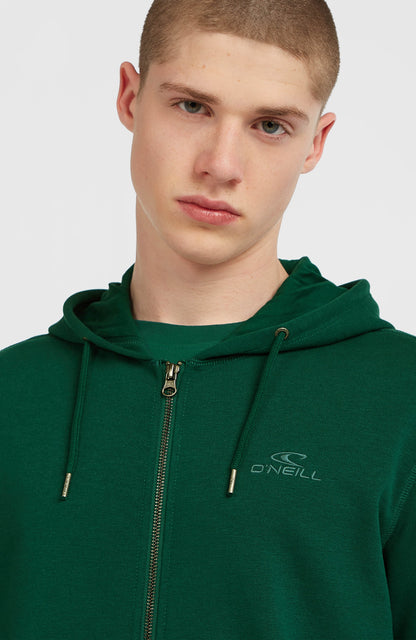Small Logo Full-Zip Hoodie Men Emerald Envy