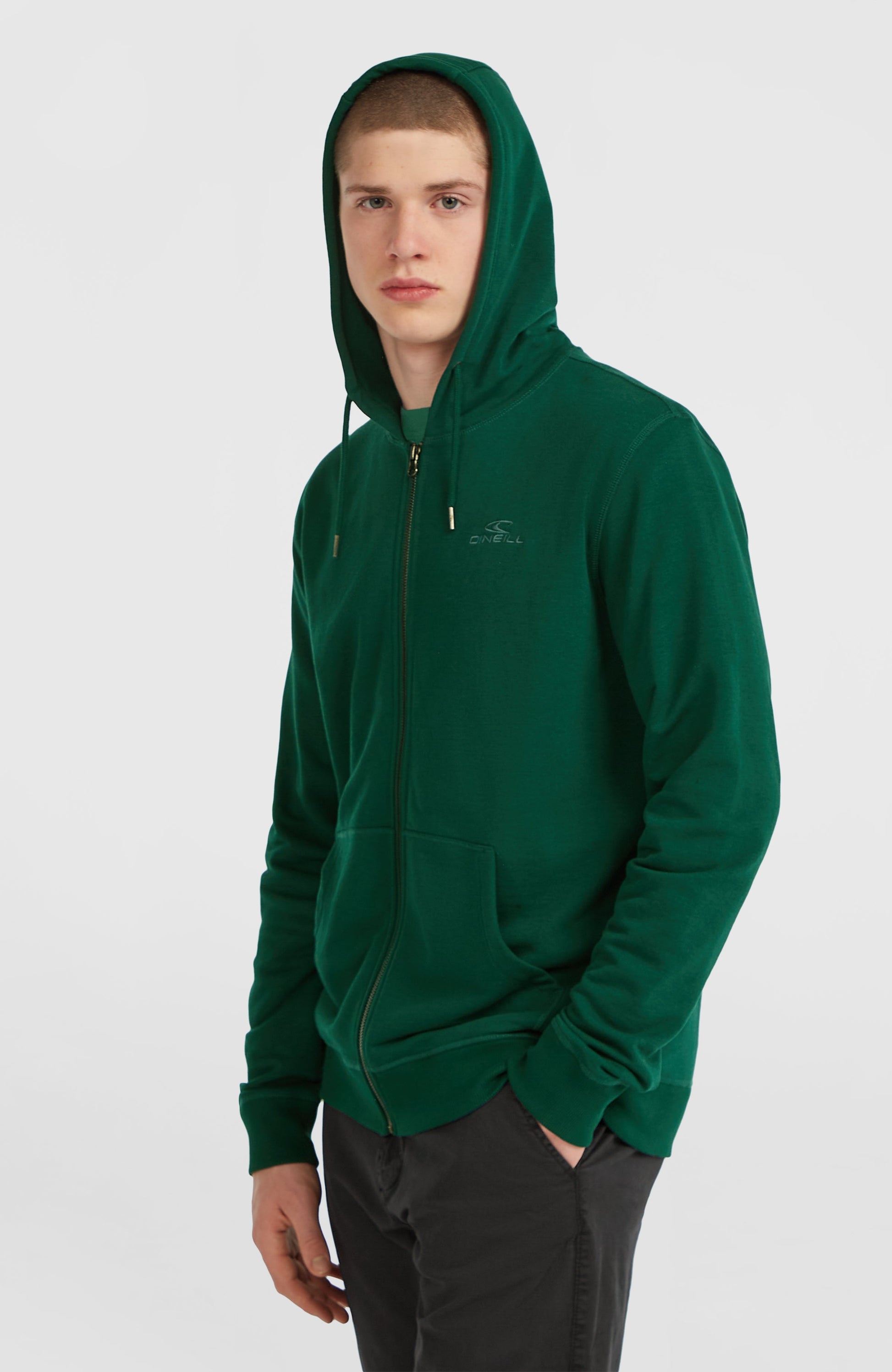 Small Logo Full-Zip Hoodie Men Emerald Envy