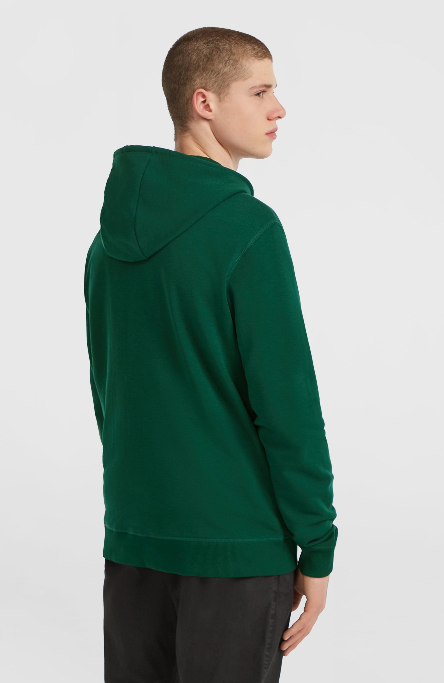 Small Logo Full-Zip Hoodie Men Emerald Envy