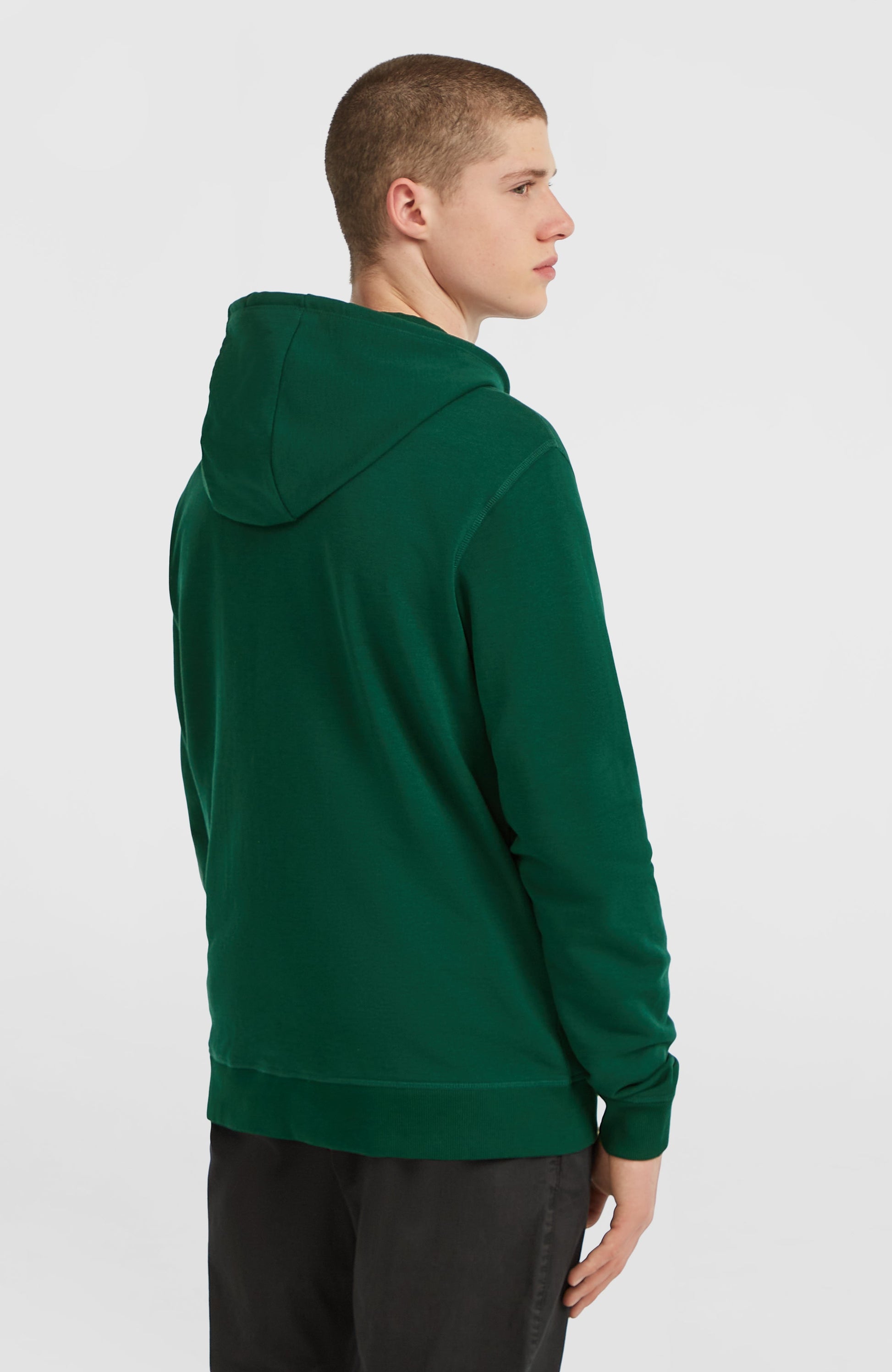 Small Logo Full-Zip Hoodie Men Emerald Envy