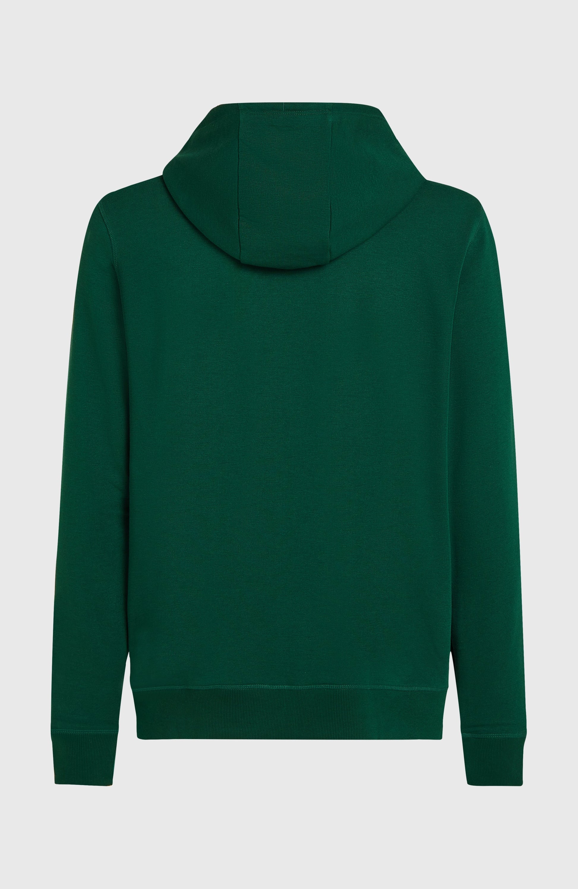 Small Logo Full-Zip Hoodie Men Emerald Envy